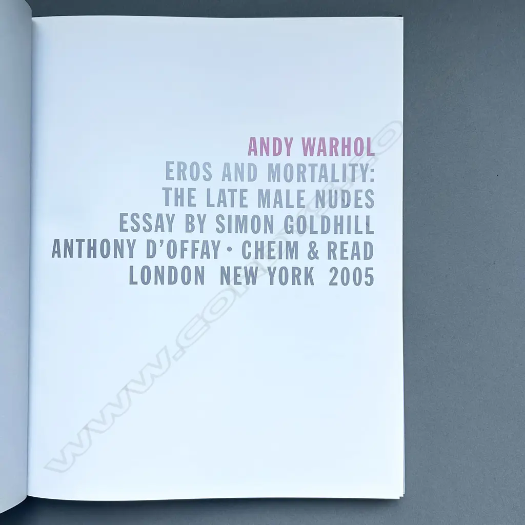 ANDY WARHOL: EROS AND MORTALITY THE LATE MALE NUDES Image 1++